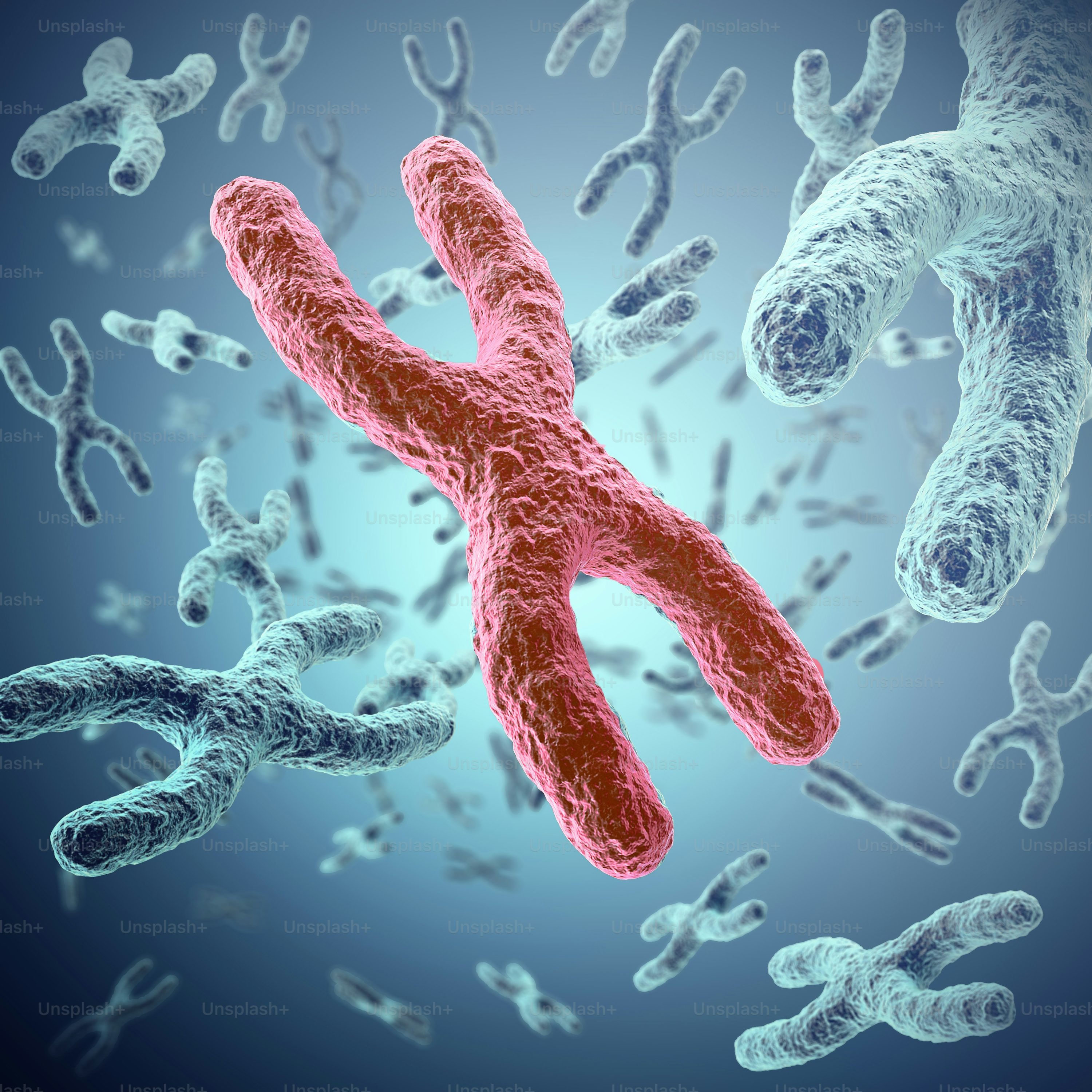 Immunoglobulin infusion therapy