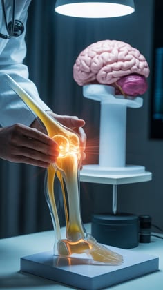 Knee Osteoarthritis X-ray